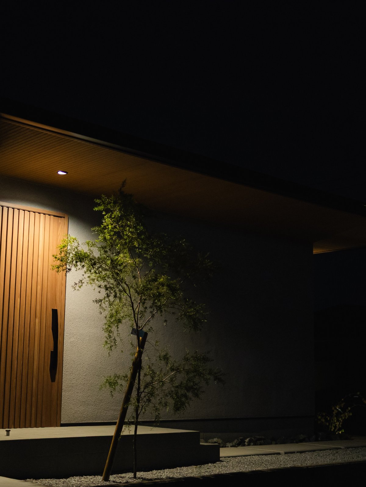 夜の玄関アプローチ